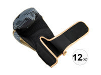 Set d'entrainement boxe DF SPORTS - Modèle Arena - Gris/Or - 12oz