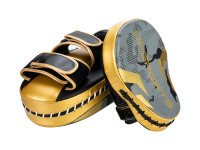 Set d'entrainement boxe DF SPORTS - Modèle Arena - Gris/Or - 10oz (3)